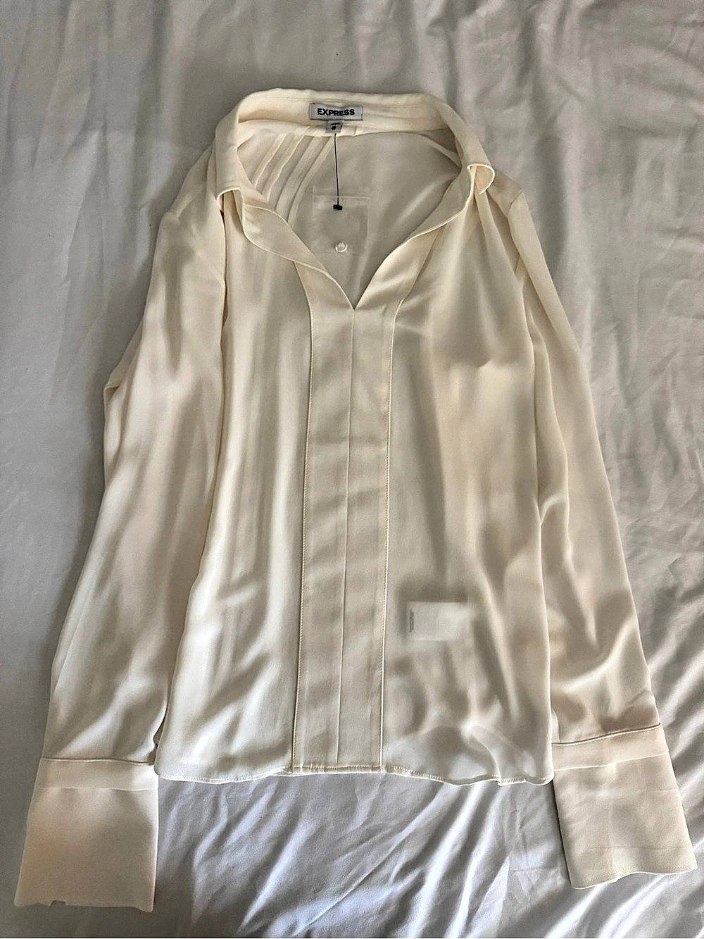 Express Sheer Collared Long Sleeve Pleated Top in Cream